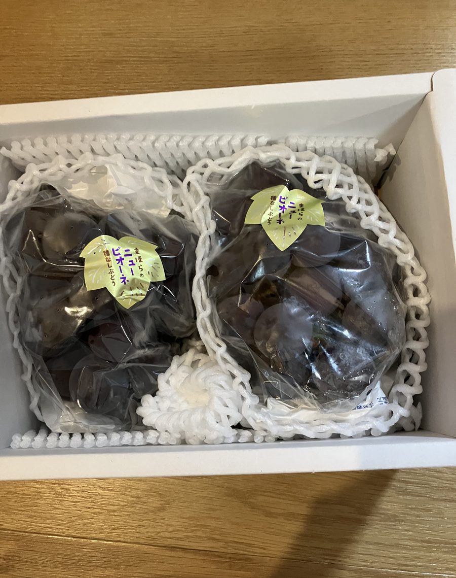 白い箱に入って届いた岡山県産のピオーネ2房。「まほらのニューピオーネ 種なしぶどう」と書かれた葉の形のラベルがついている