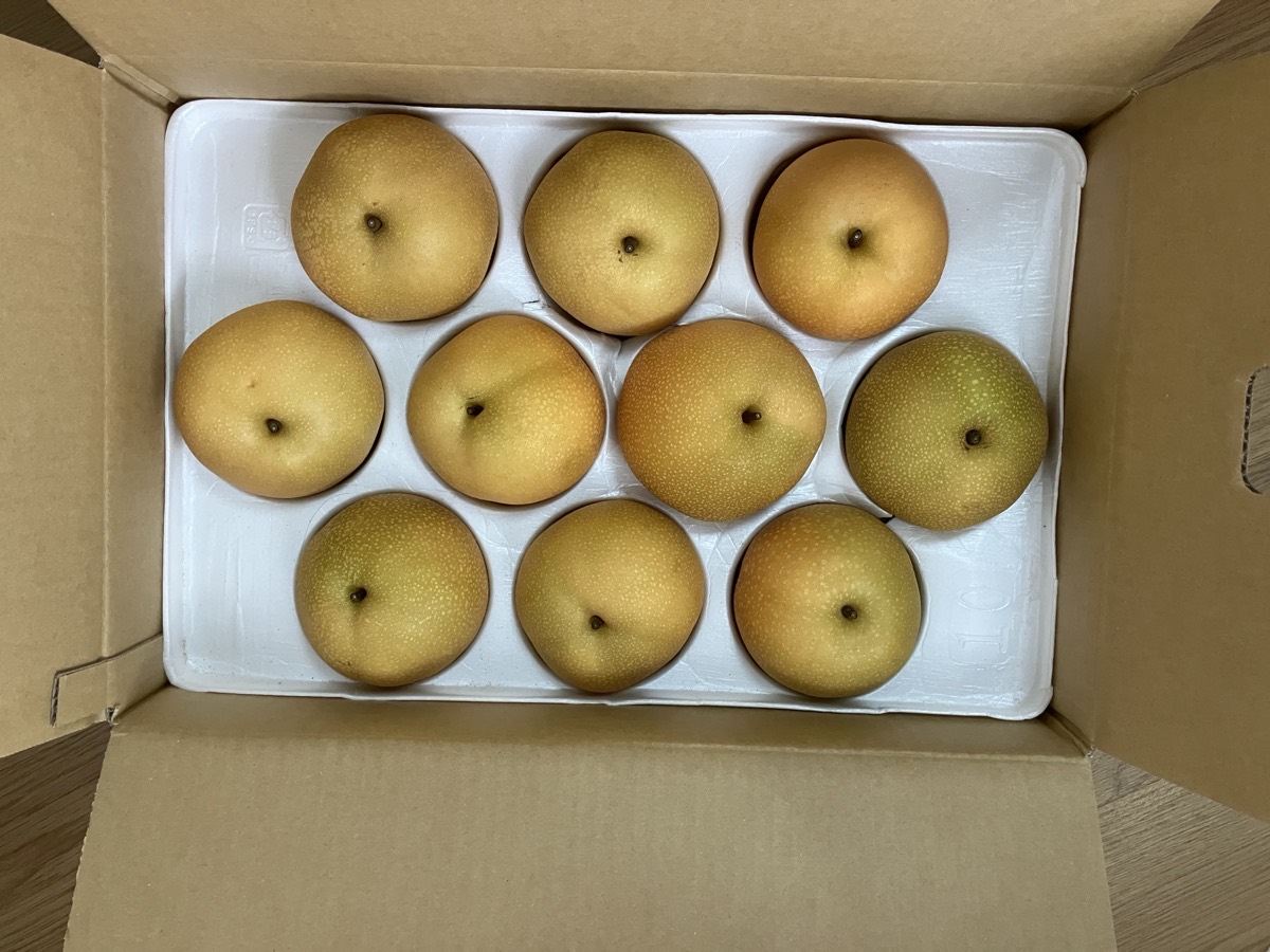 ふるさと納税で届いた熊本県玉東町の玉東梨。箱の中に豊水が10玉並んでいる