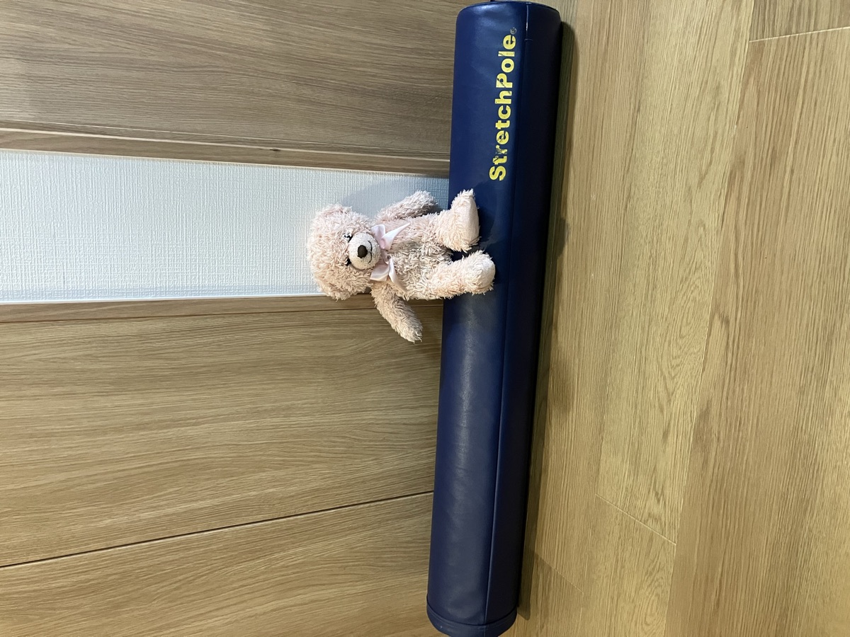 20年使っている紺色のストレッチポール。黄色いStretchPoleのロゴが入っている